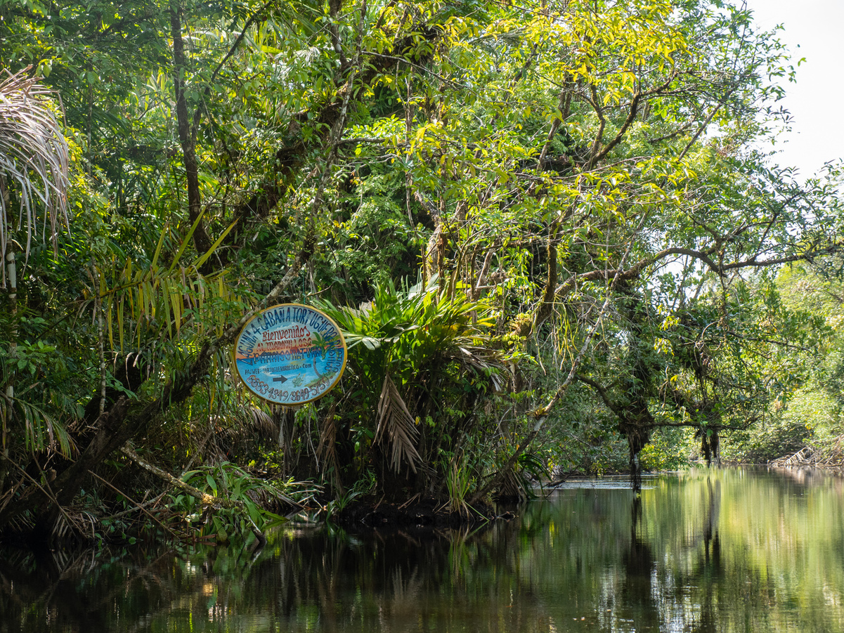 Getting closer to Laguna Cuatro you can find our sign hanging on a tree.